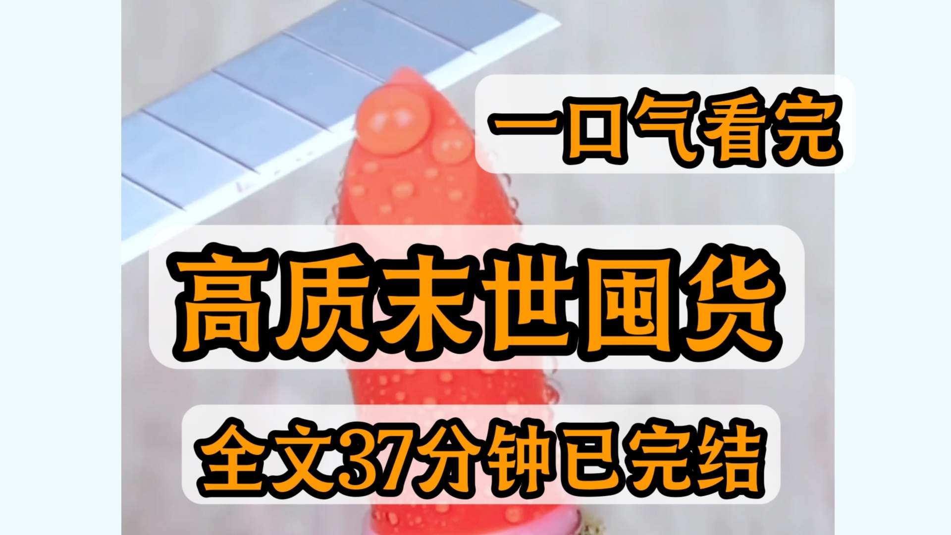 [图]【一口气看完】高质量末世囤货文/全文37分钟