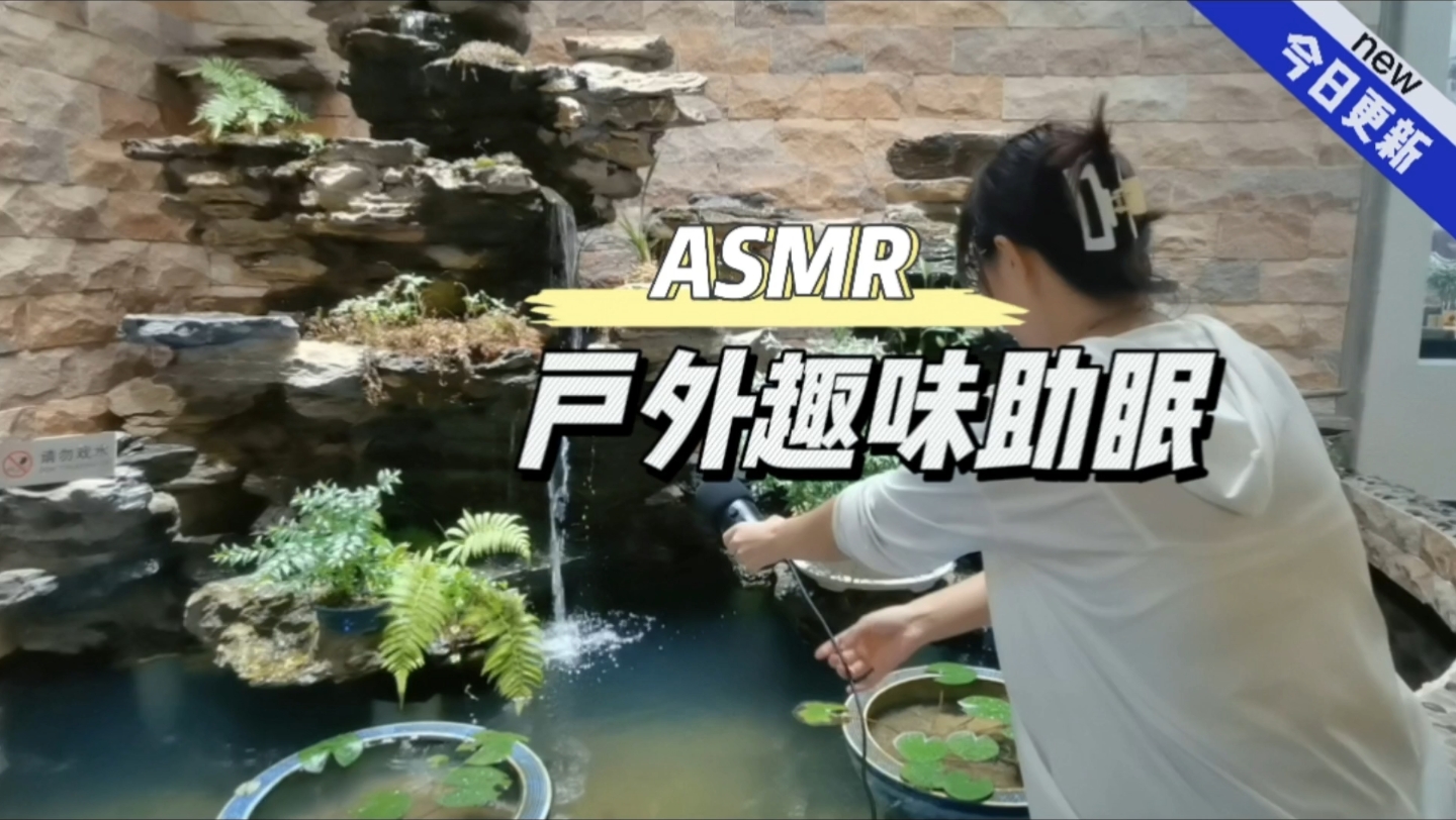 【ASMR户外助眠】在文苑的趣味助眠哔哩哔哩bilibili