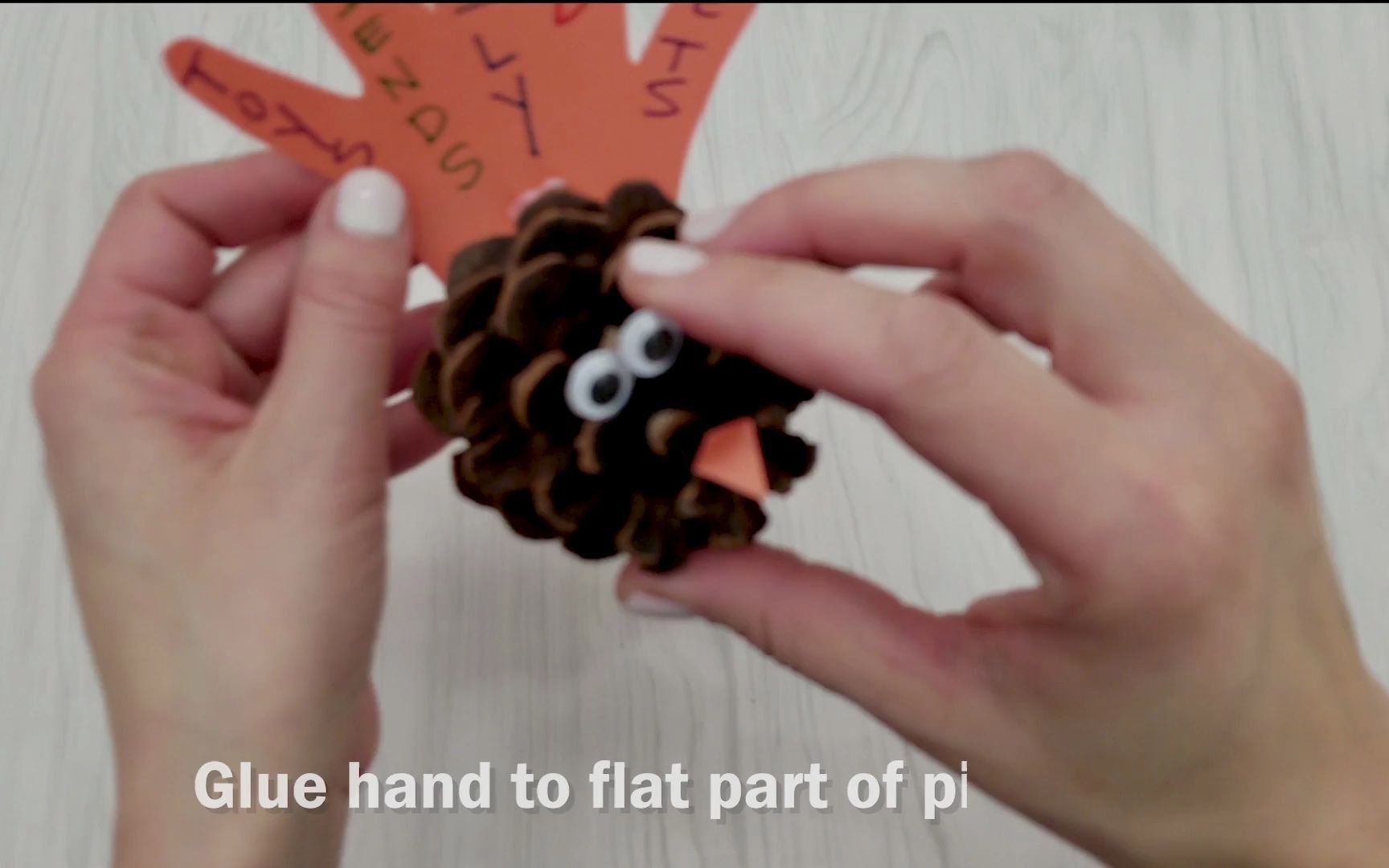 松果火鸡手工制作 Pinecone Turkeys by Creativity for Kids哔哩哔哩bilibili