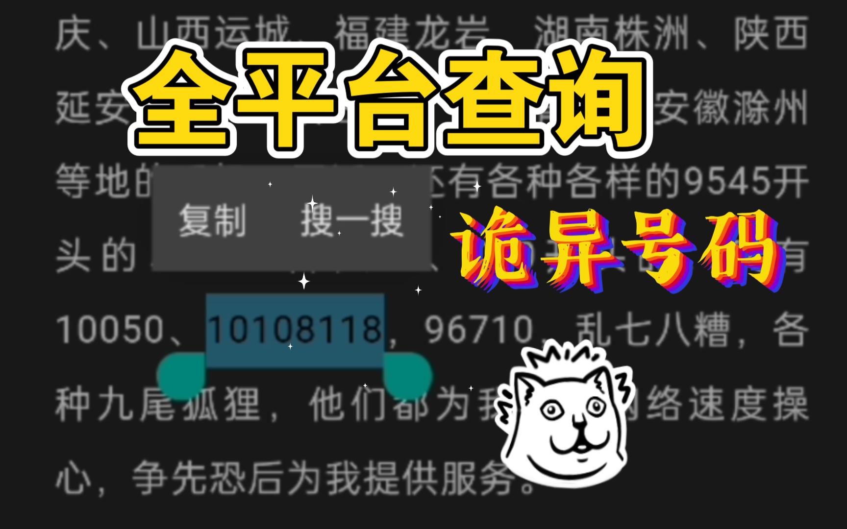 10108118来电,究竟是什么鬼?哔哩哔哩bilibili