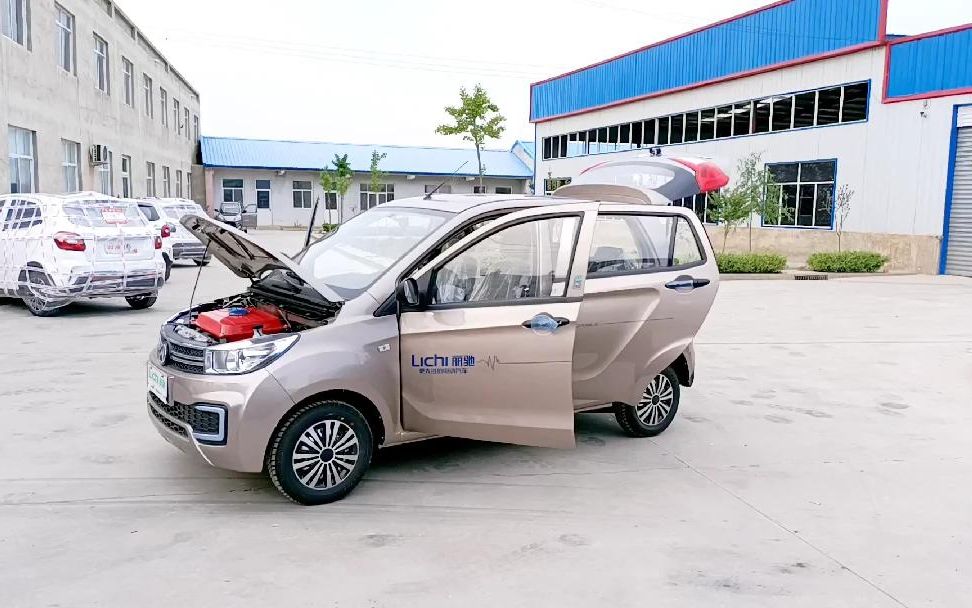 20800买一台,骊驰电动车,五开门五大座,今天看看怎么样.