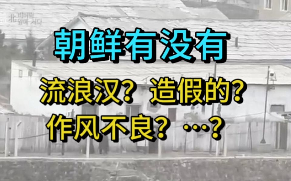 朝鲜没有失业者,有免费房子?驳朝鲜“九无一有”论—【网络热门视频鉴定】哔哩哔哩bilibili