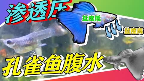 搜索 哔哩哔哩 つロ干杯 Bilibili