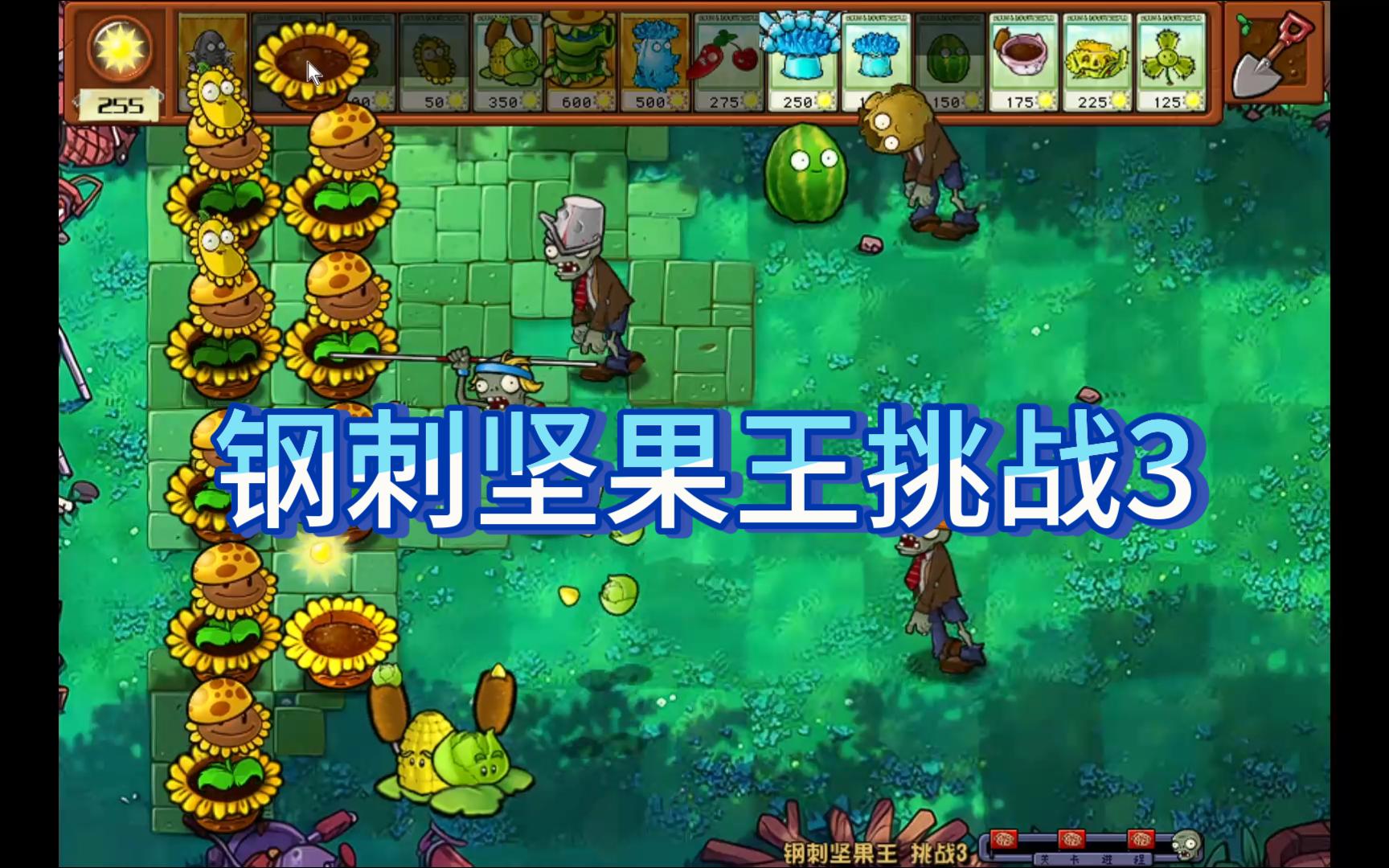 钢刺坚果王挑战3 植物大战僵尸杂交版