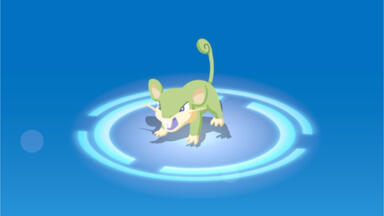 睡觉大王波鲁鲁 帕鲁总是繁殖几个蛋就睡觉178