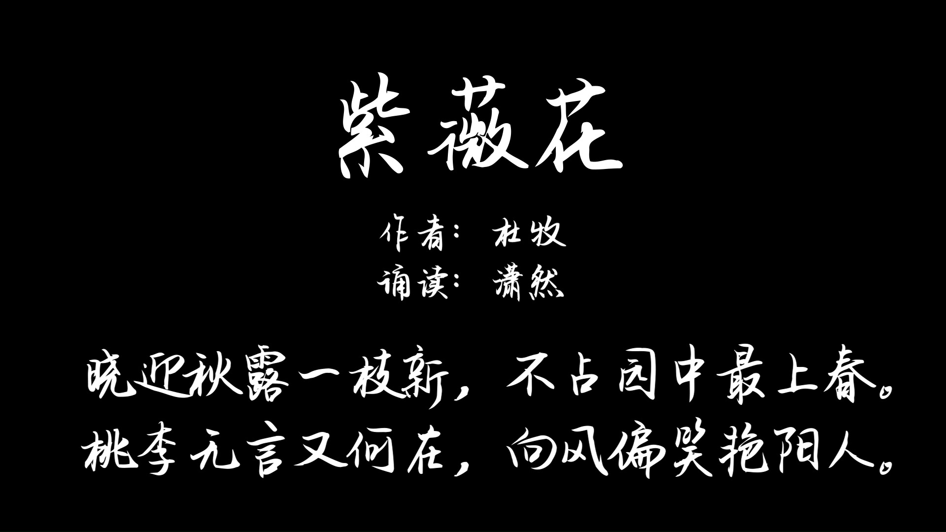 紫薇花 杜牧 诵读古诗词