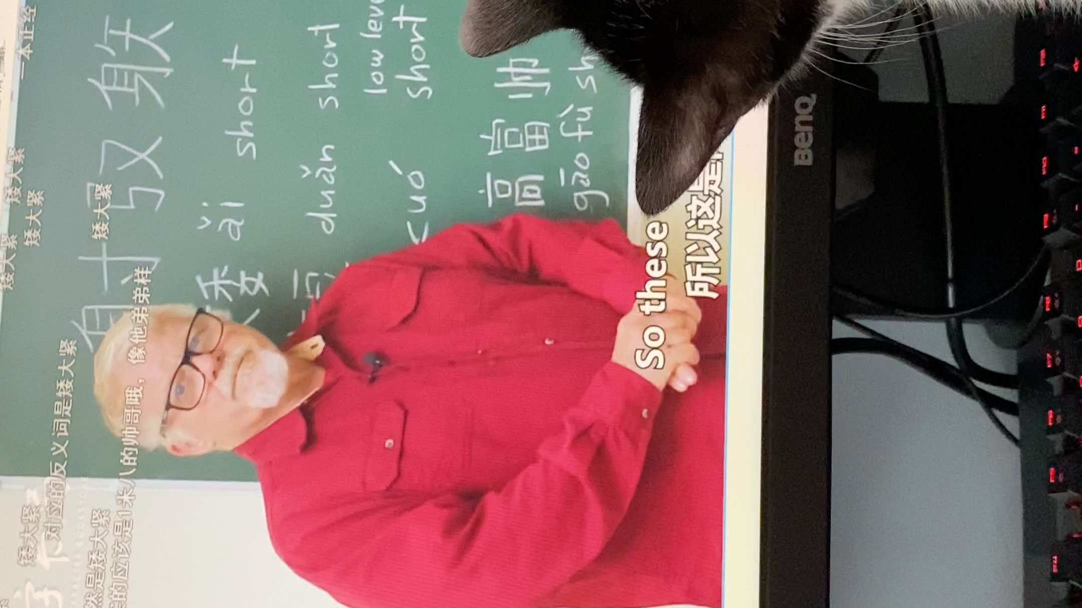 小猫咪都知道学汉字@矮大紧老师