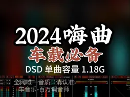 2024劲爆嗨曲，跑高速必备！DSD完整版1.18G，百万调音师专业录音棚制作，顶级hifi无损音质