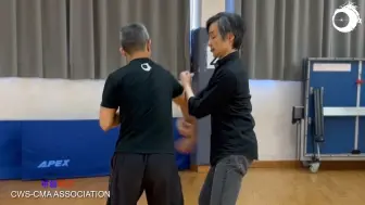 Video herunterladen: 洪拳——解读铁线拳进攻防守的精髓