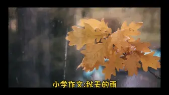 Descargar video: 小学作文:秋天的雨