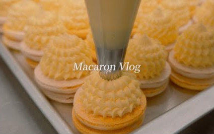 【sallyslaw】Macaron Vlog|韩国甜品店工作日常~哔哩哔哩bilibili