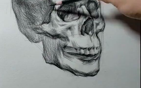 【素描】——素描头像基础:四分之三侧面头骨解析_哔哩哔哩_bilibili