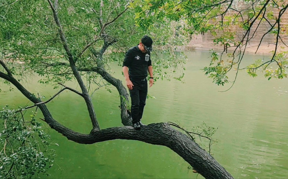 打卡博山龙门天池镇门峪水库,一颗榆树横卧在池塘,上去后怎么回来?