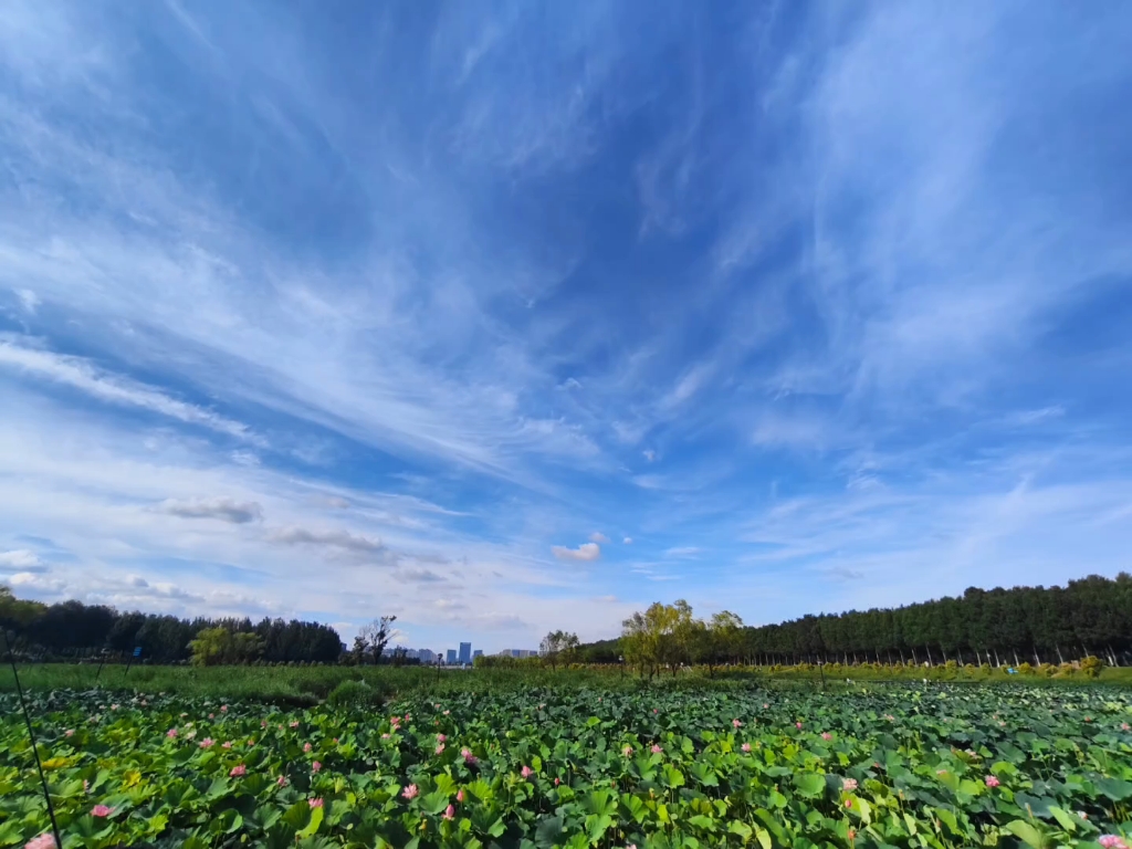浑南区中央公园
