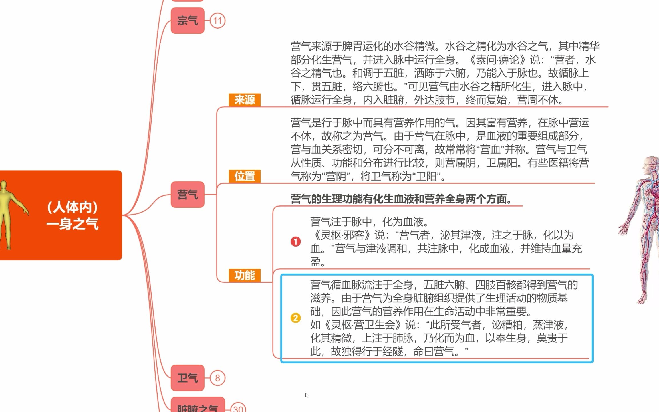 【气五】中医所说的“营气”是什么?哔哩哔哩bilibili