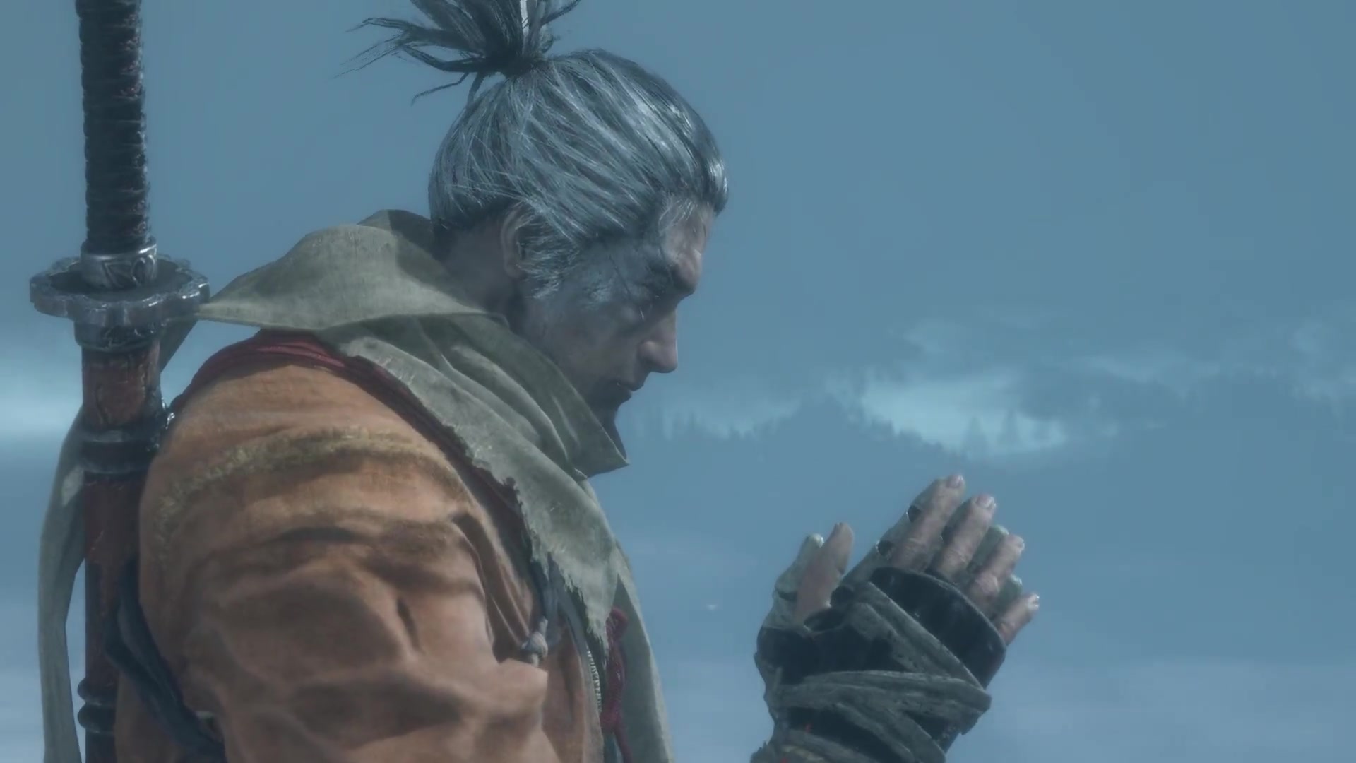 黑鱼只狼战斗记忆樱龙