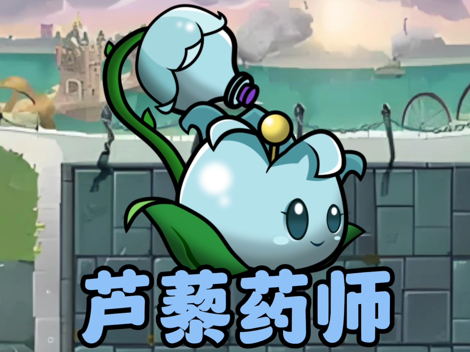 二代植物:芦藜药师