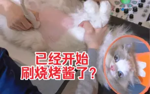 Descargar video: 带猫去猫德动物医院体检，他好像误会了