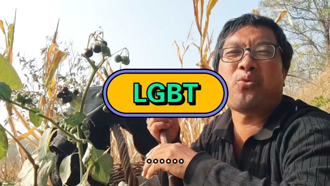 什么是“LGBT”?哔哩哔哩bilibili