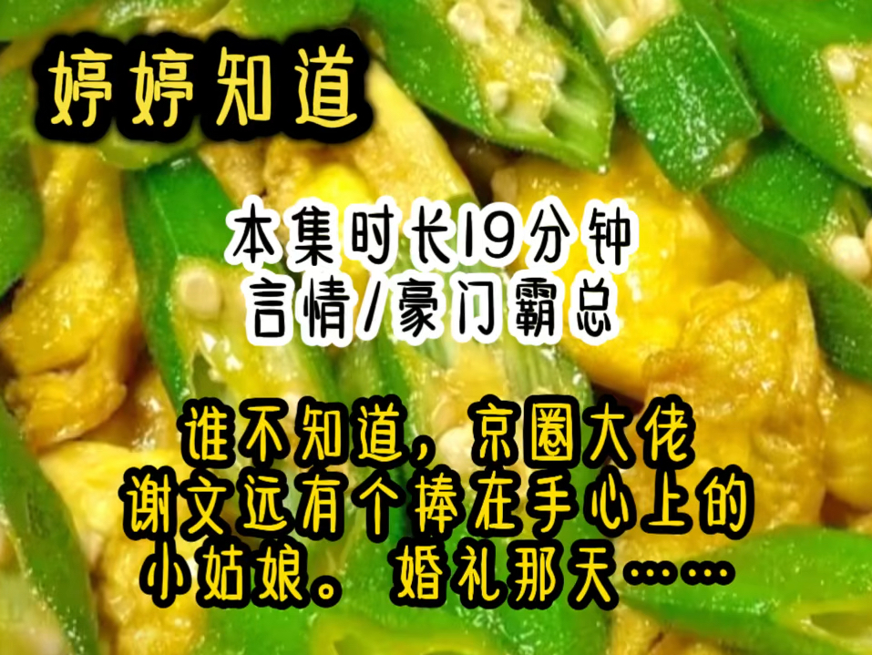 谁不知道,京圈大佬谢文远有个捧在手心上的小姑娘. 婚礼那天……哔哩哔哩bilibili