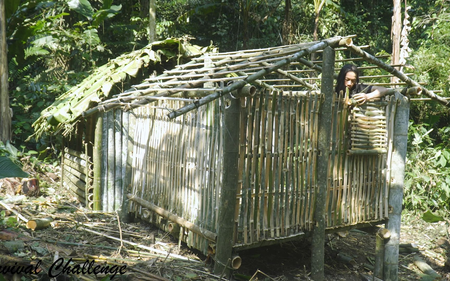 原始丛林人-6个月的丛林生存,荒野求生,第65集-雾中的第二栋房子,荒野