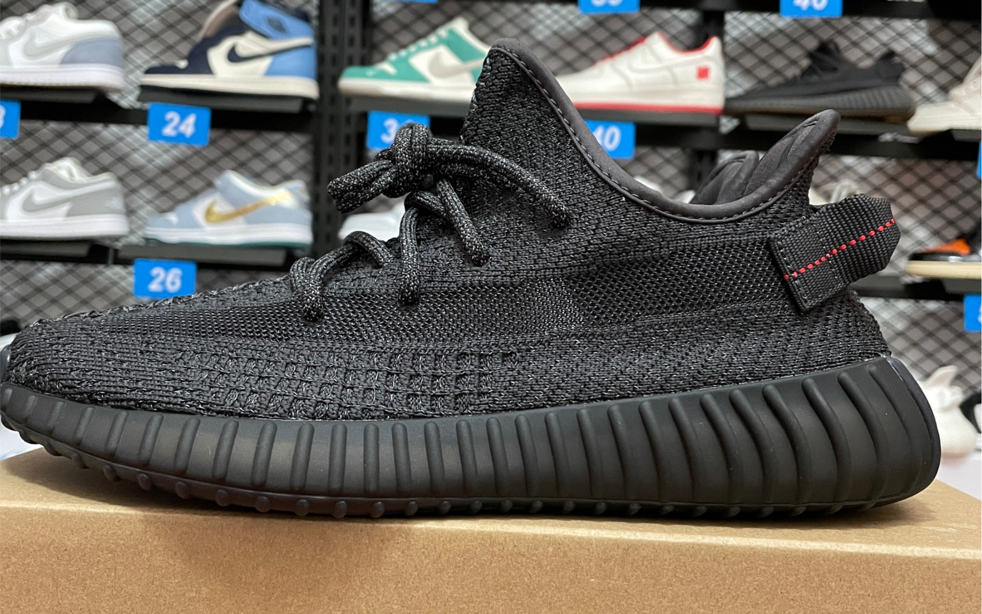 天花板椰子350 黑色满天星实拍