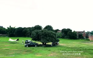 Video herunterladen: 广州1小时直达呼伦贝尔大草原（佛山三水区梁家村大榕树）佛山北江大堤，全长有10公里左右。一路江堤、草原、车行驶在任何一处都是风景，适合喜欢露营、拍照的小伙伴。