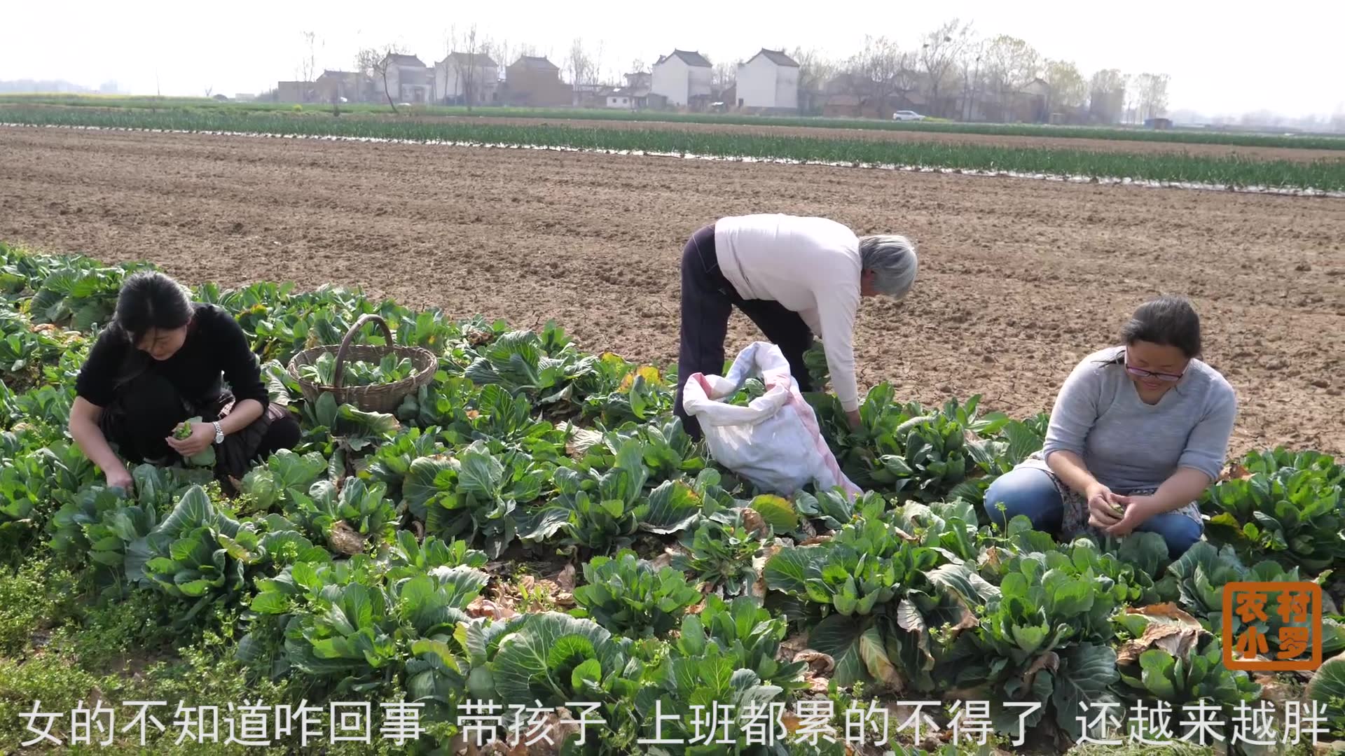 农村人春天都在干什么?一起来看看,大娘觉得比城市人幸福哔哩哔哩bilibili