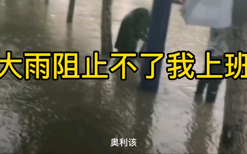 暴雨也阻止不了我在合肥上班,加油你是最胖的哔哩哔哩bilibili