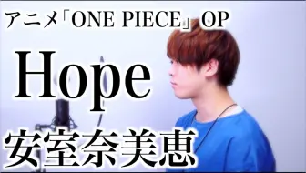 Raon Lee 海贼王one Piece Op Hope 安室奈美惠 哔哩哔哩 Bilibili