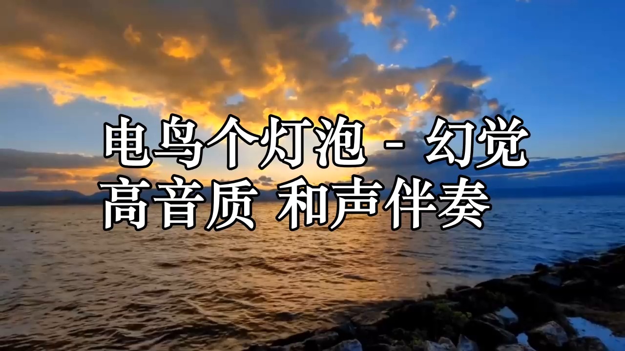 电鸟个灯泡 - 幻觉 高音质 和声伴奏