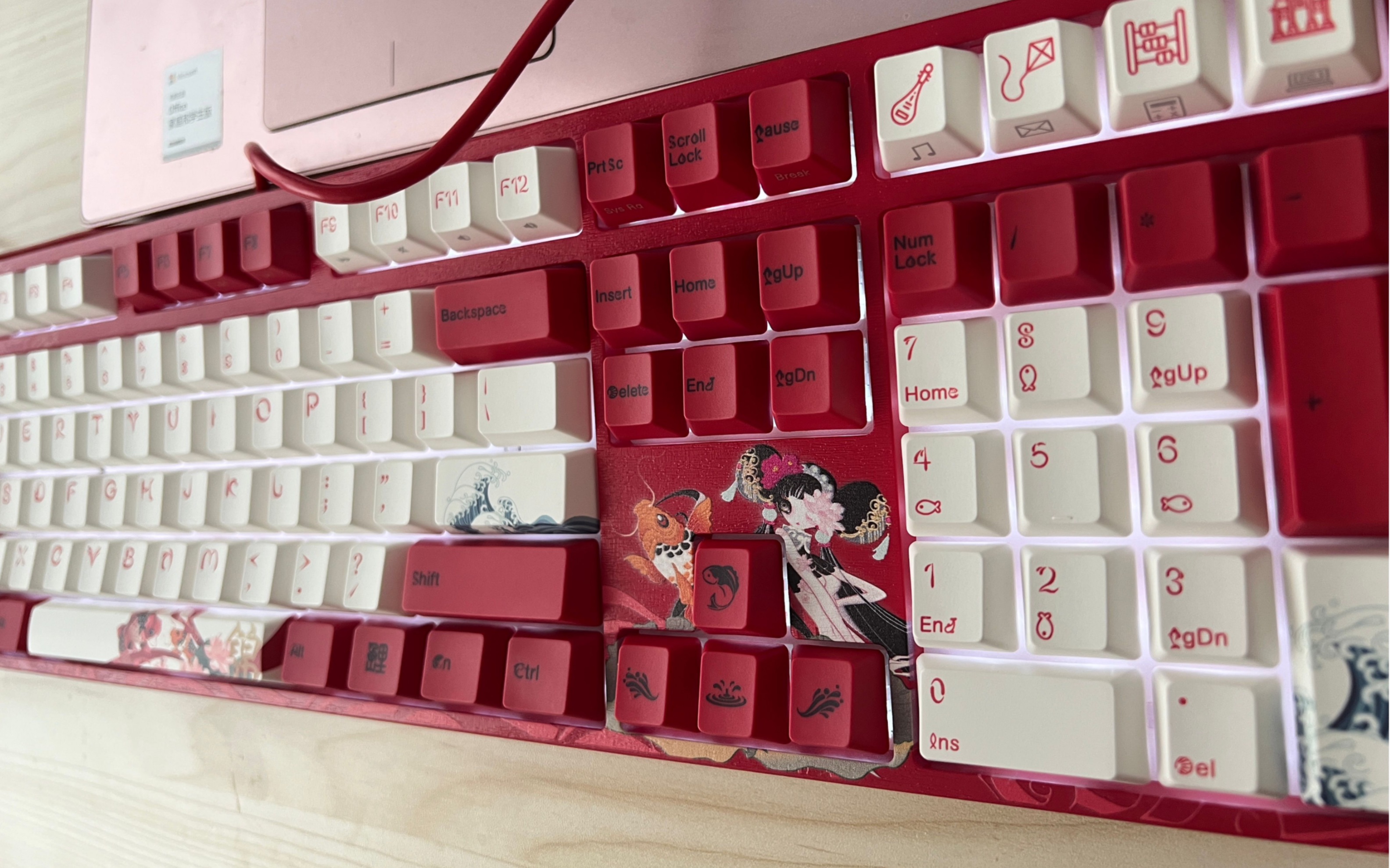 阿米洛锦鲤(一代)樱花粉轴简易开箱