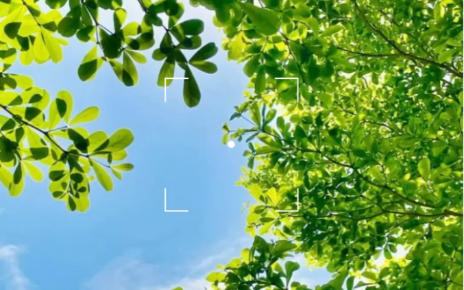 春天爱绿色的你