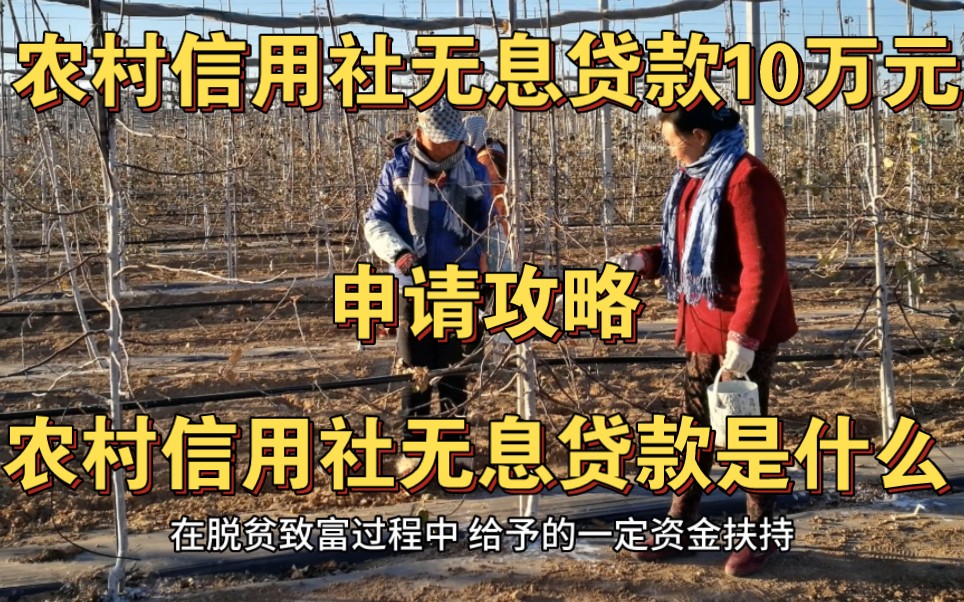 农村信用社无息贷款10万元申请攻略,农村信用社无息贷款是什么.哔哩哔哩bilibili