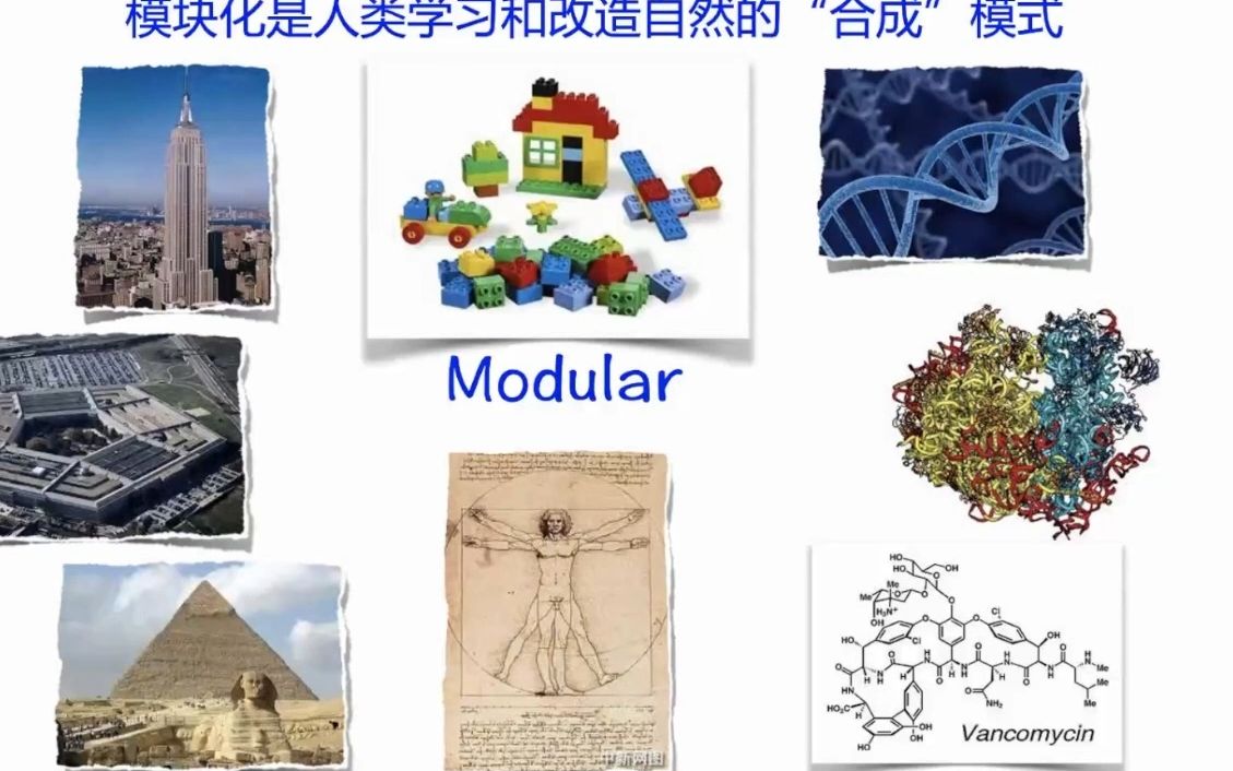 20230606美国国家科学院Karl Barry Sharpless、上海交通大学董佳家Click chemistry, New directions哔哩哔哩bilibili