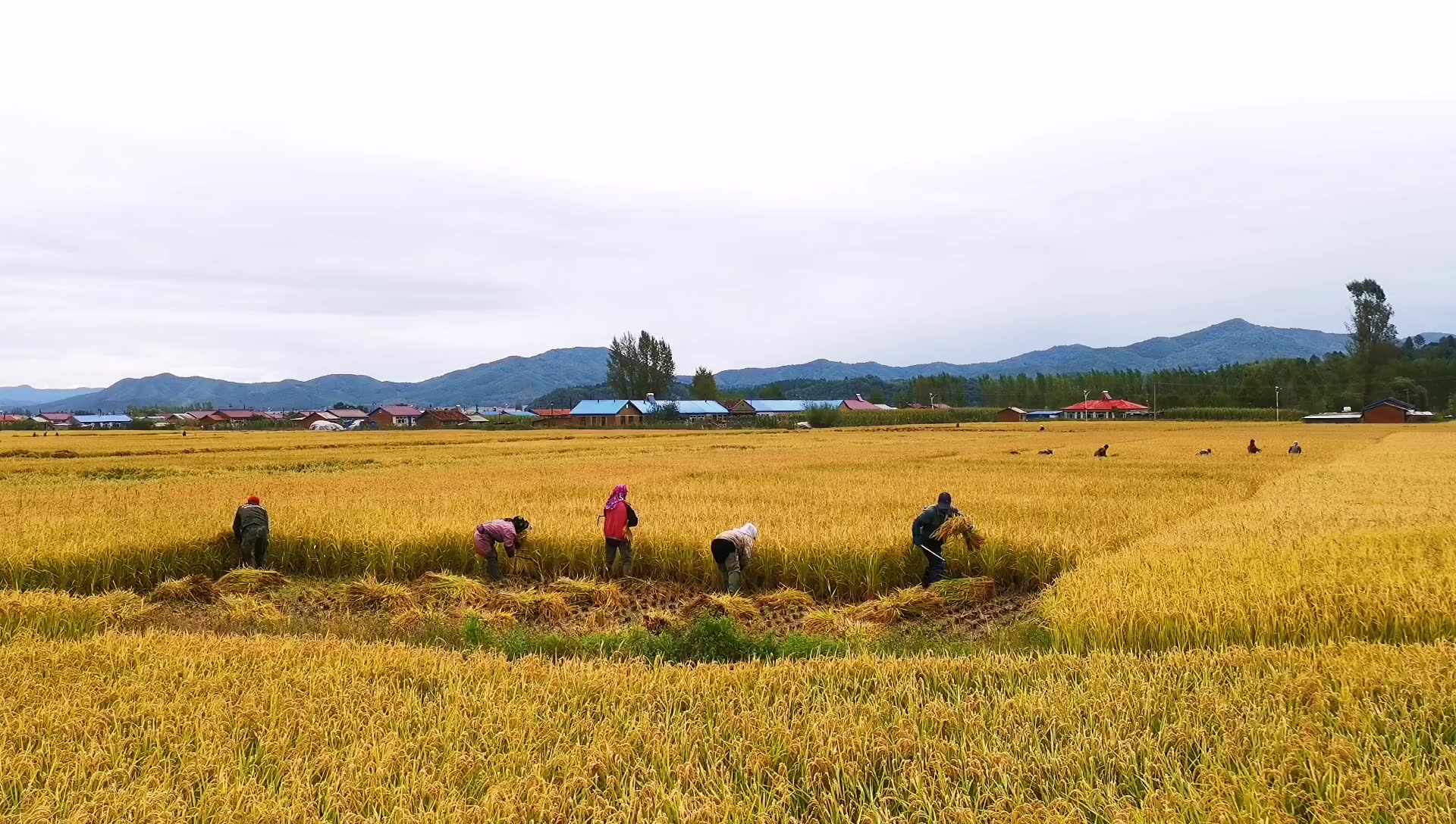 [图]我爱我的小山村，这片山水总让我心潮滚滚......