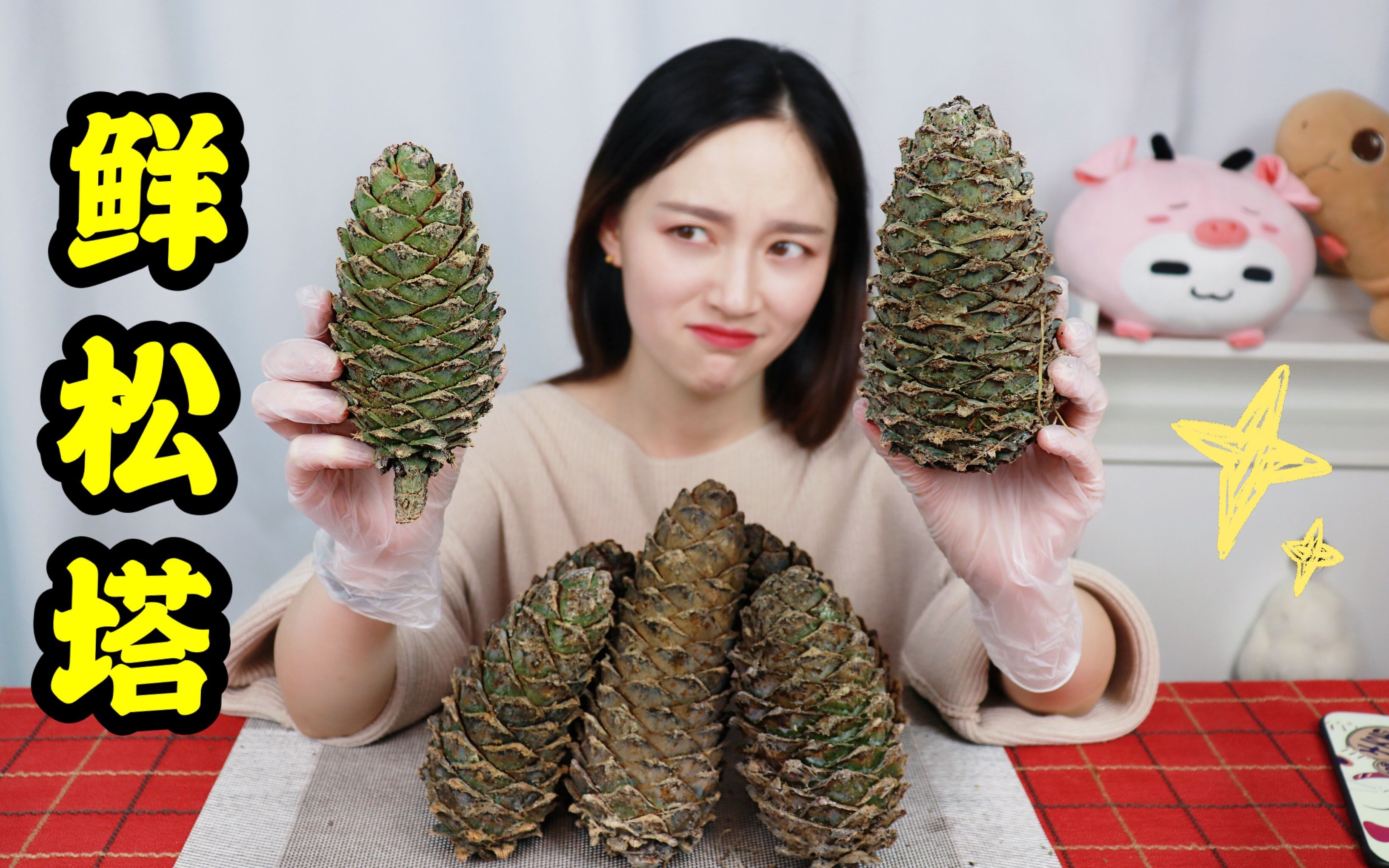 [图]跟松鼠夺食！试吃“鲜松塔”费时费力真的值得吗?