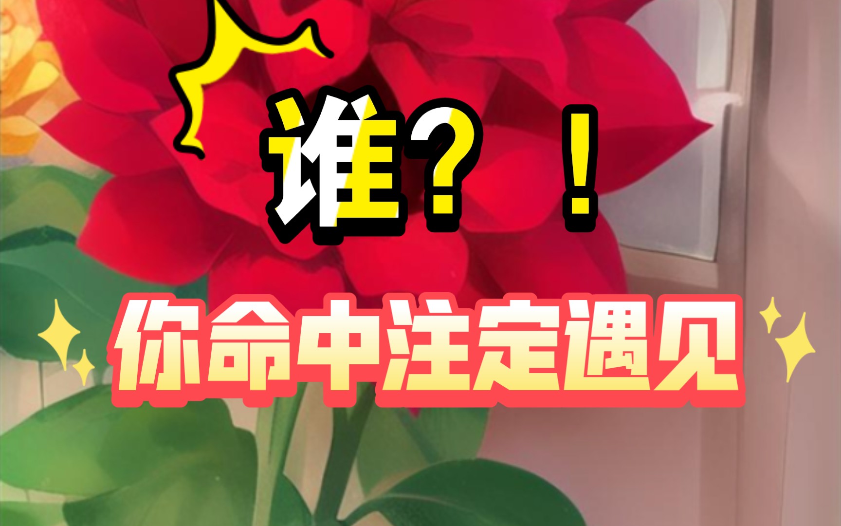 你命中注定遇见谁?!哔哩哔哩bilibili