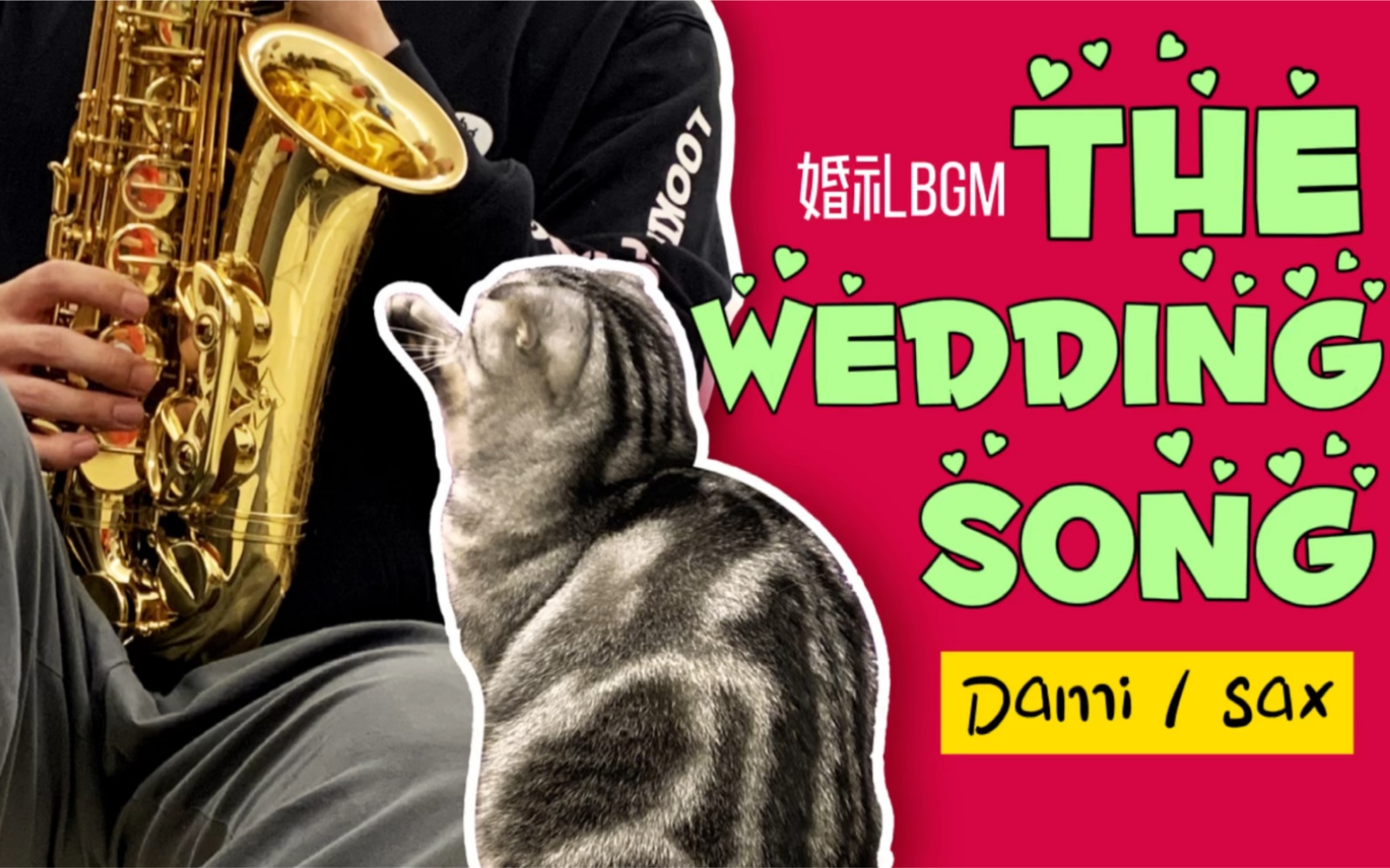 适合婚礼的BGM The wedding song婚礼之歌Kenny G cover by Dami 中音萨克斯版哔哩哔哩bilibili