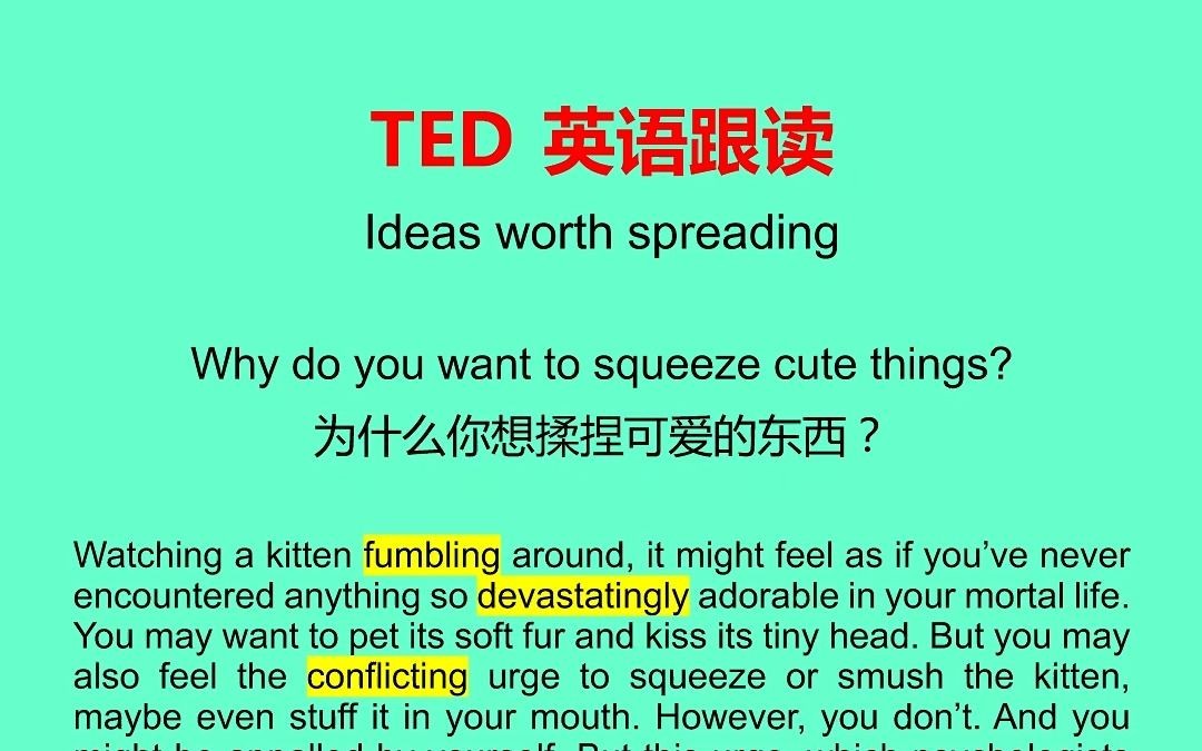 ted英語跟讀——人們為什麼喜歡揉捏可愛的東西?