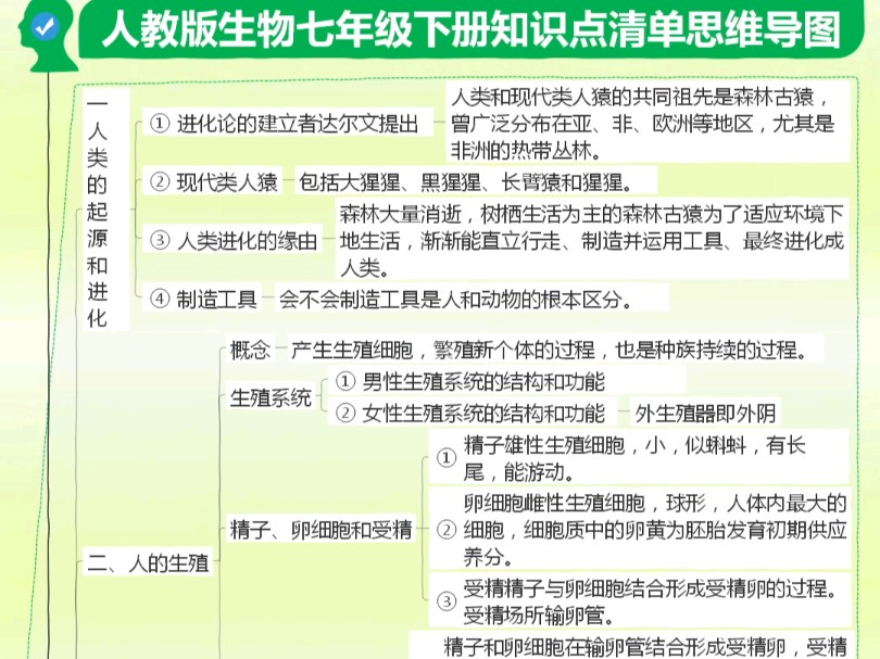 人教版生物七年级下册知识点清单思维导图哔哩哔哩bilibili