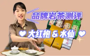 【茶叶测评】3个品牌岩茶测评（上）大红袍和水仙