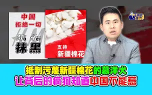 Download Video: 王炳忠：抵制污蔑新疆棉花的慕洋犬 让背后的疯狗知道中国不能惹