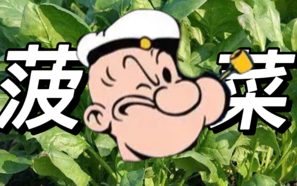 [图]大力水手到底有多强？万能的菠菜！