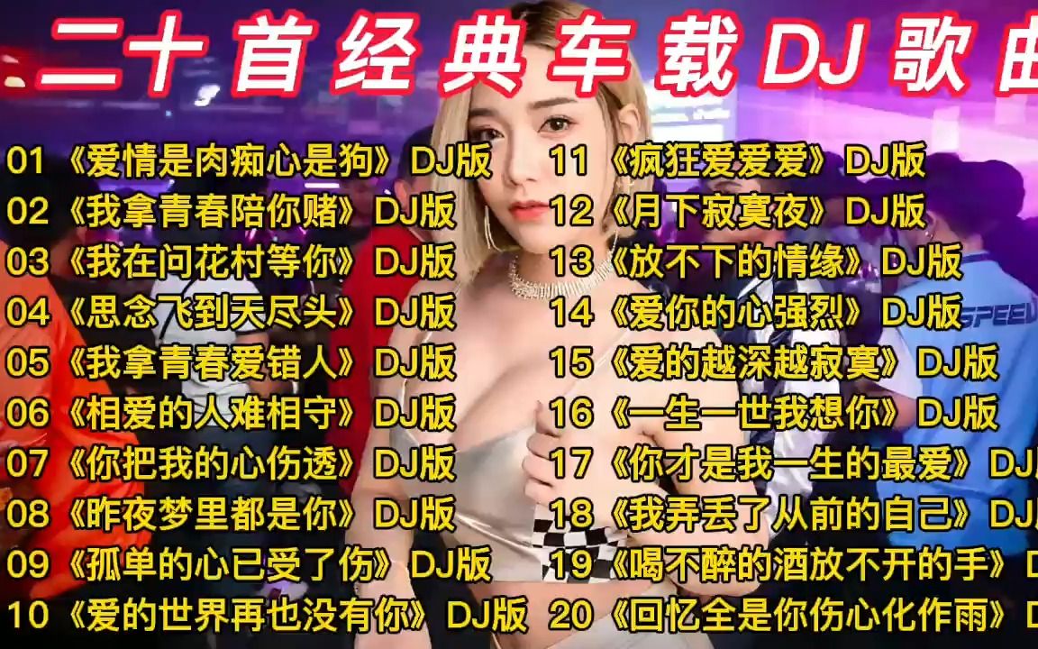 [图]二十首车载DJ<爱情是肉痴心是狗><我拿青春陪你赌><放不下的情缘>