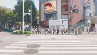 日初系列 微游记10 表参道 哔哩哔哩 Bilibili