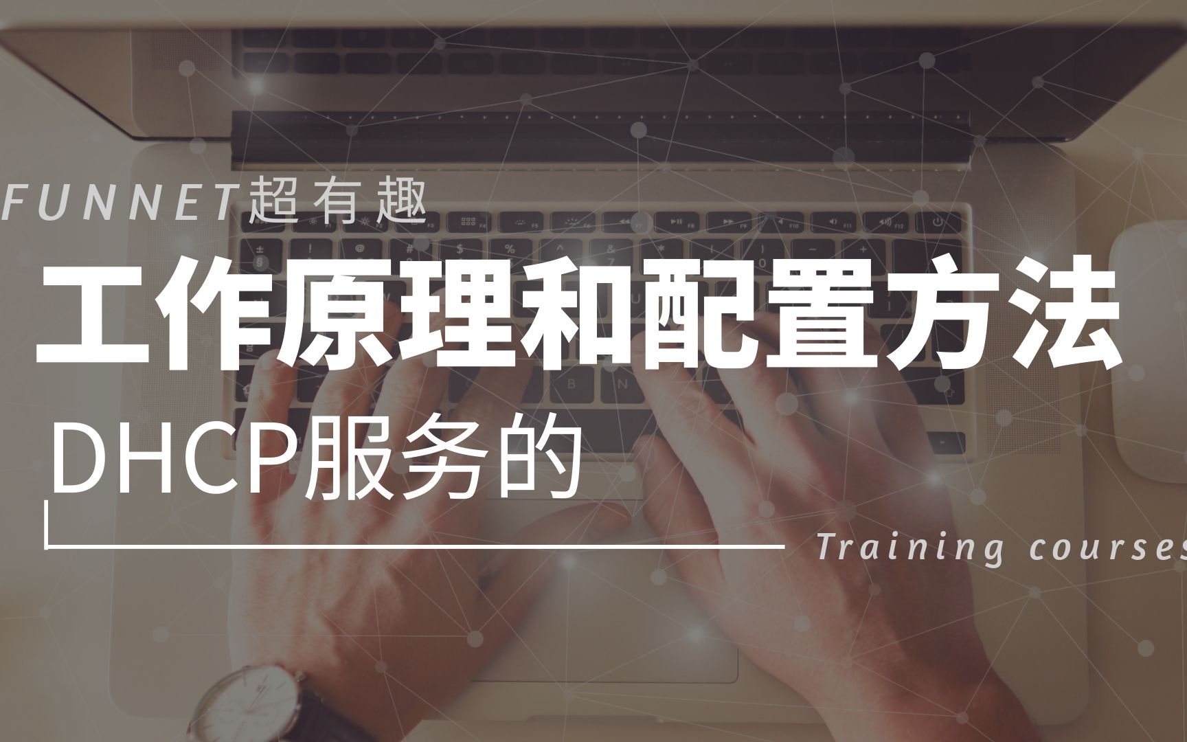 电脑怎么自动获取IP地址的?DHCP协议报文交互,Offer报文,DHCP Request为什么是广播?哔哩哔哩bilibili