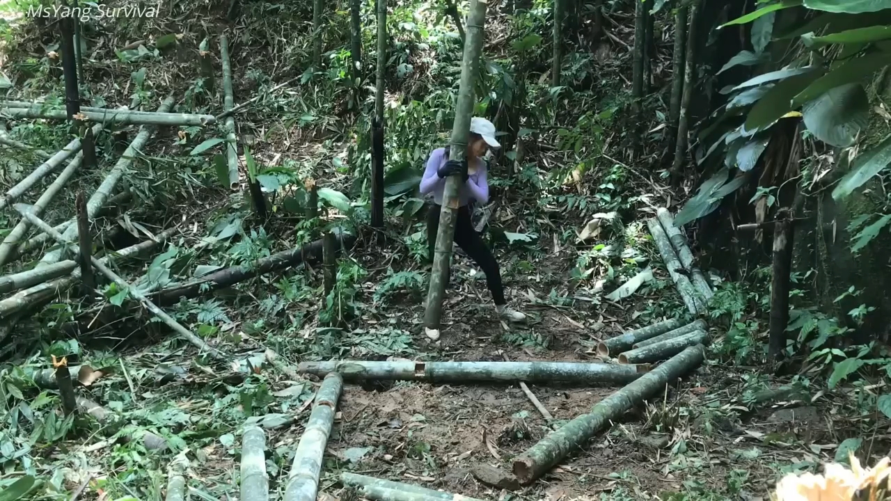 越南美女荒野求生图片