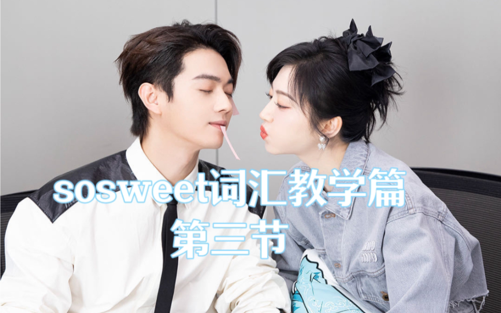 sosweet词汇教学篇03 许凯x景甜 |凯词甜语哔哩哔哩bilibili