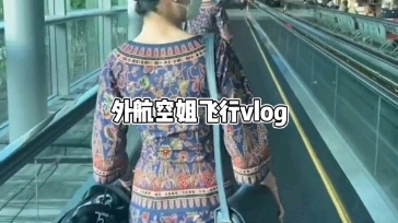 新加坡航空空姐的飞行vlog哔哩哔哩bilibili